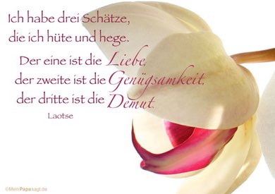 Bild: Orchidee mit Spruch von Mein Papa sagt, Weisheiten, Zitate und Sprichwort